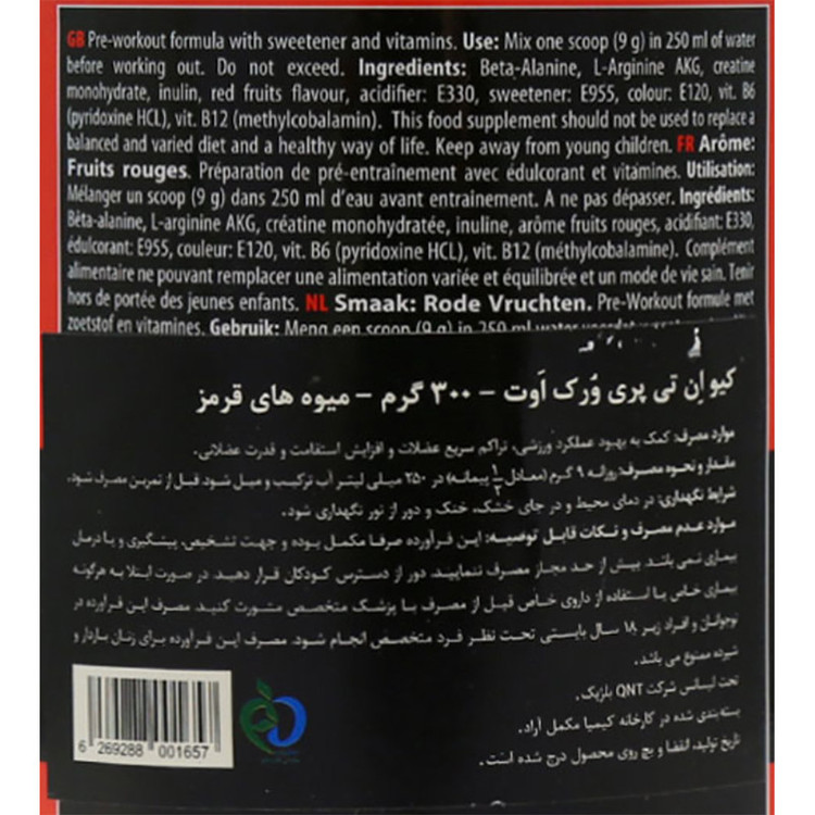 پودر پمپ پری ورک اوت کیو ان تی - 300 گرم